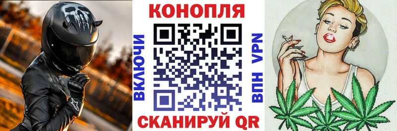 Конопля конопля  hydra сайт  Сурск 